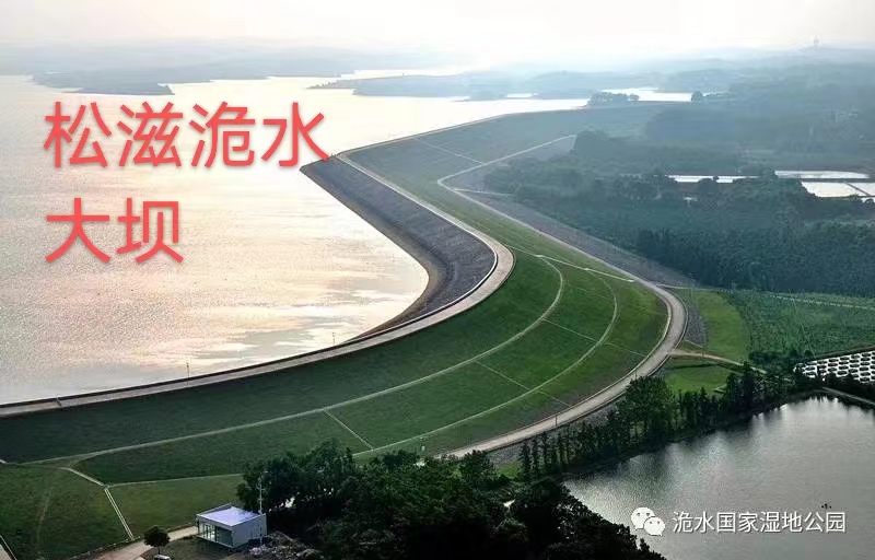 【都市头条】推介胡清普《游白雲阁》请欣赏（图7）
