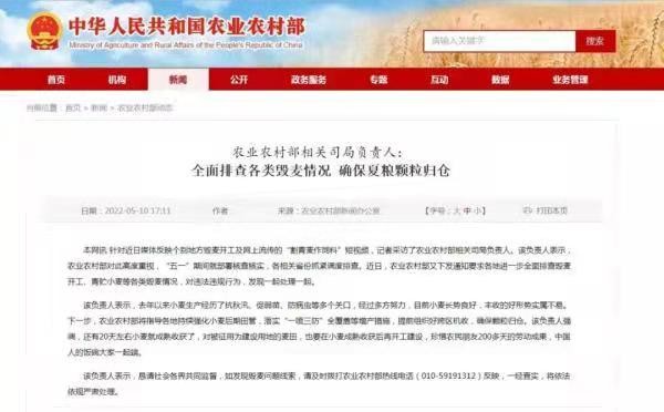*秋风清-重拳严惩“割麦青饲”文/冯志清（上海）【冰心文化传媒】（图4）