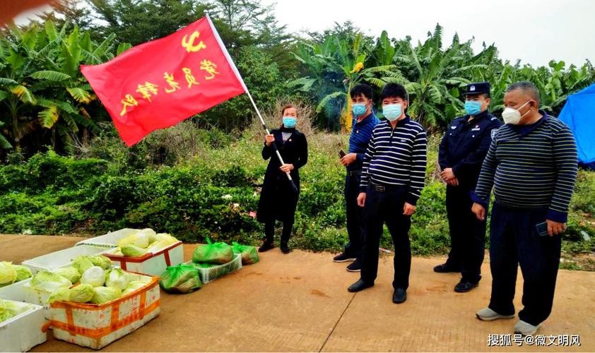 【经典推荐】”农民诗人”曹南强//渔家傲•湛江抗疫｛外五首｝（图5）
