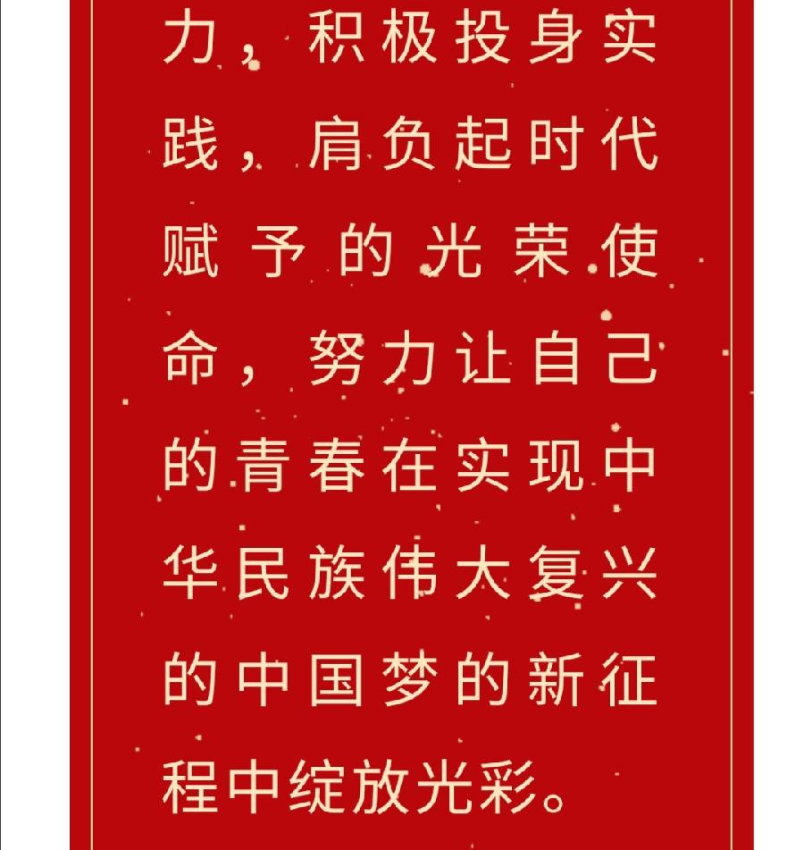 【允美团建】喜迎二十大 永远跟党走 奋进新征程——允景洪小学举行2021年度优秀共青团员表彰大会（图11）