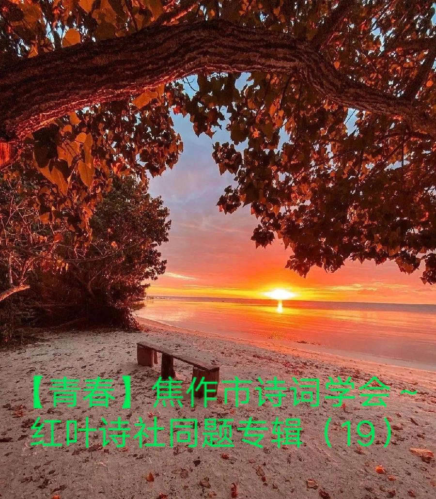 【青春】焦作市诗词学会红叶诗社同题专辑(19)