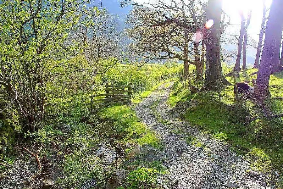 【新诗大观】漫步山间小路||文/三月林||诵/文嘉
