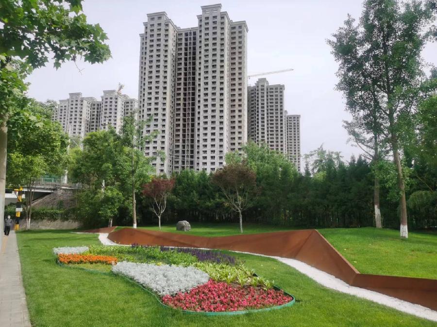 【经典推荐】杨武军//晨练随想（图5）