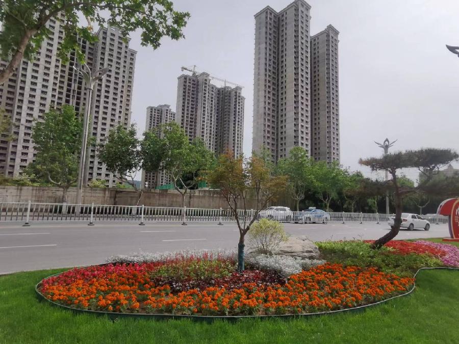 【经典推荐】杨武军//晨练随想（图3）