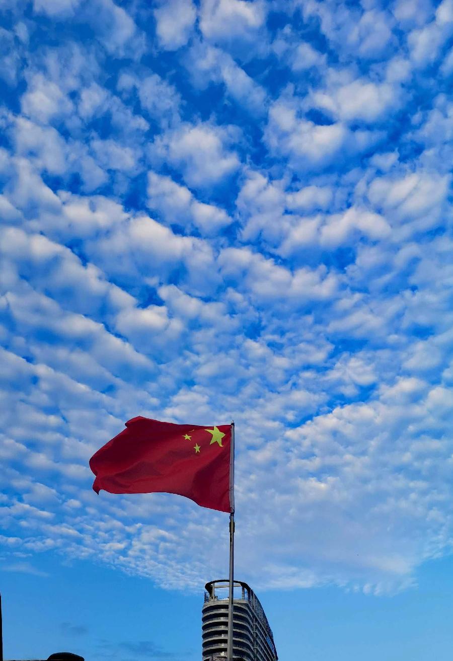 【浮沉動静】文／磊怀（图12）
