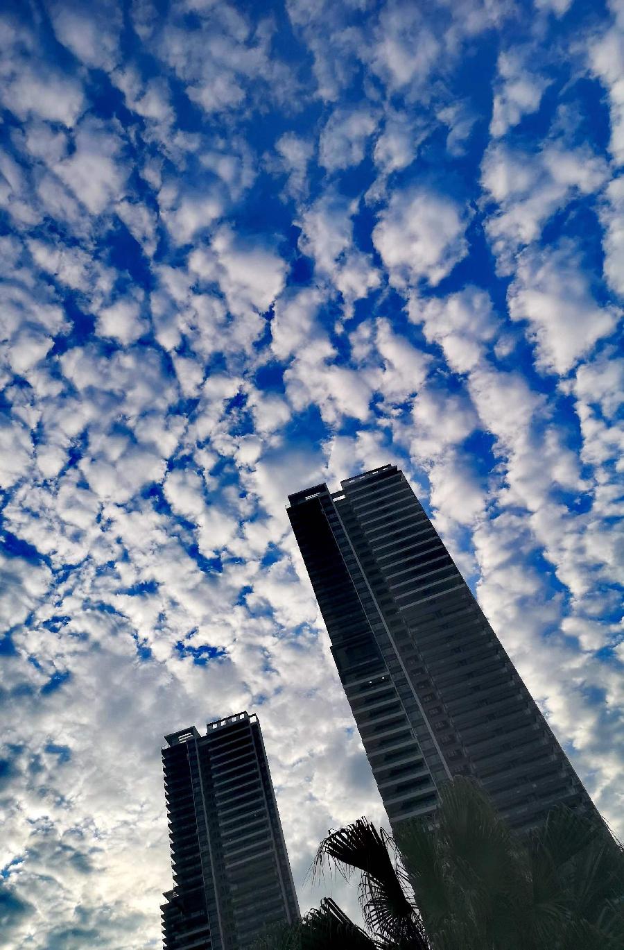 【浮沉動静】文／磊怀（图11）
