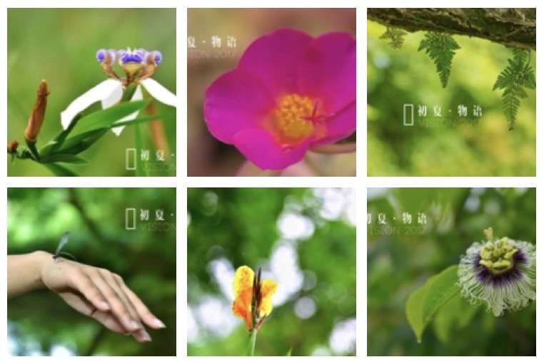 〔诗词小辑〕文/风鸽（张晓峰）【冰心文化传媒】（图4）