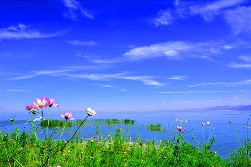 〔七绝专辑一〕作者 张洪艳(河北)【冰心文化传媒】(图6)
