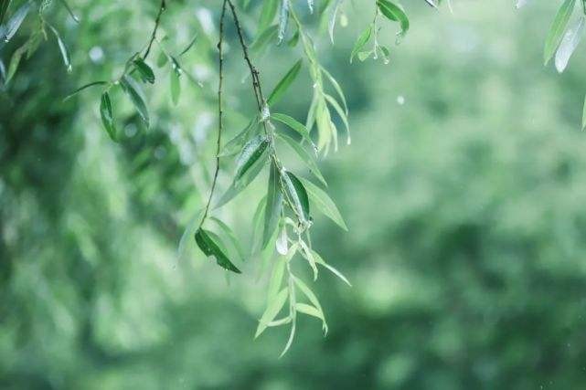 〔七绝专辑一〕作者 张洪艳(河北)【冰心文化传媒】(图19)