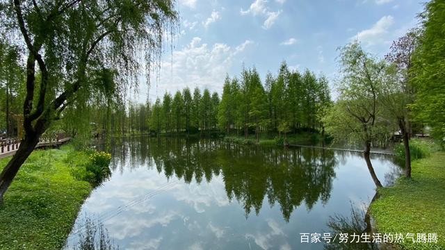 〔七绝专辑一〕作者 张洪艳(河北)【冰心文化传媒】(图27)
