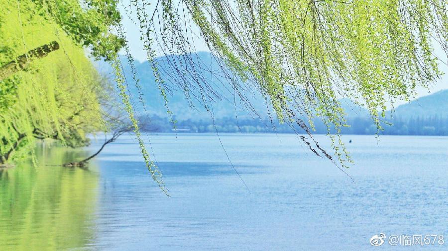〔七绝专辑一〕作者 张洪艳(河北)【冰心文化传媒】(图42)