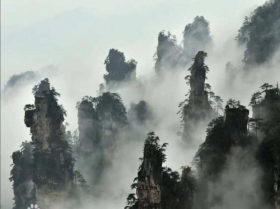 五绝二首 沈克法（北京）（图3）