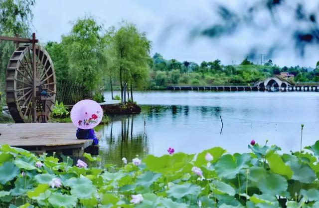 七律:二首(夏日印象)平水韵文/李文清(图2)