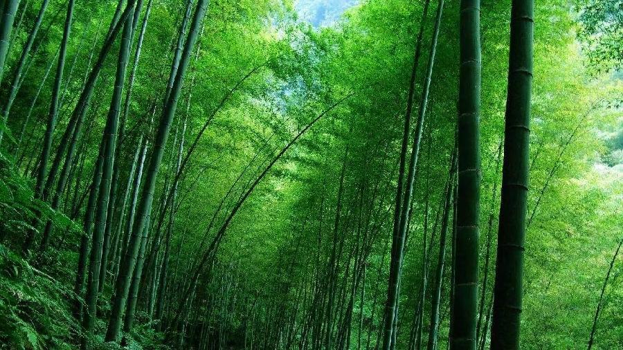 《梧桐先生-诗词选》(图3)