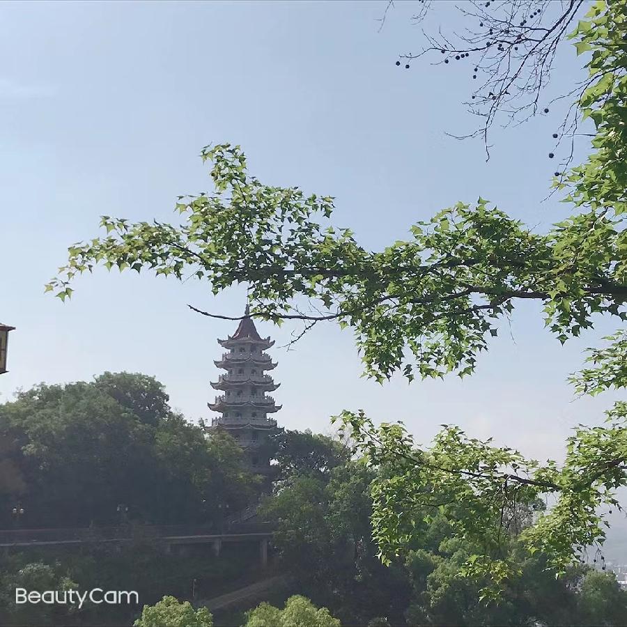 《梧桐先生-诗词选》(图8)