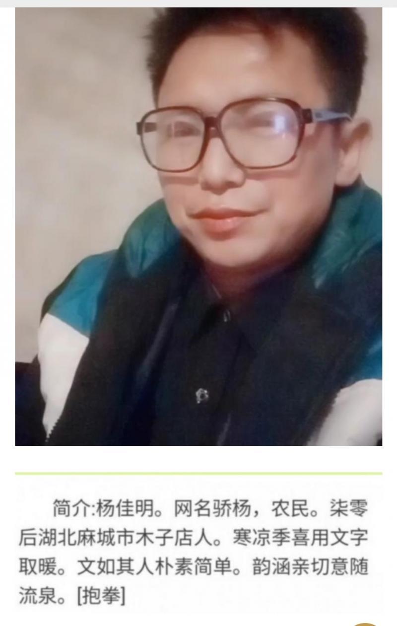 【请您欣赏】骄杨老师的组诗（图11）