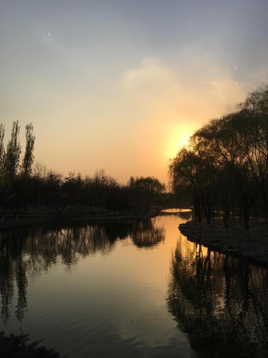 七律 晚柳（新韵）文／江冲（图11）