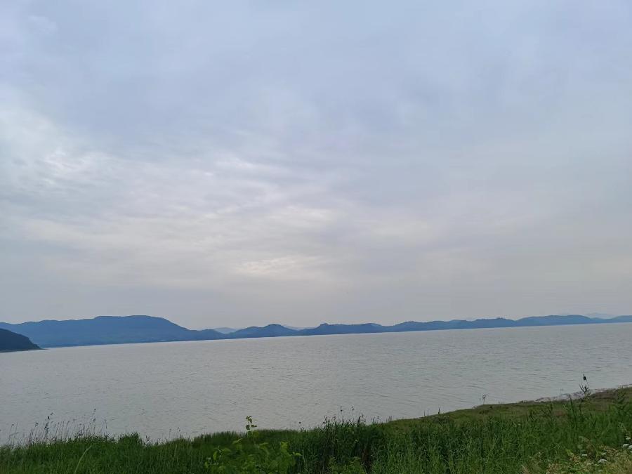 东至大渡口镇:风吹麦浪香 麦田收割忙(图4)