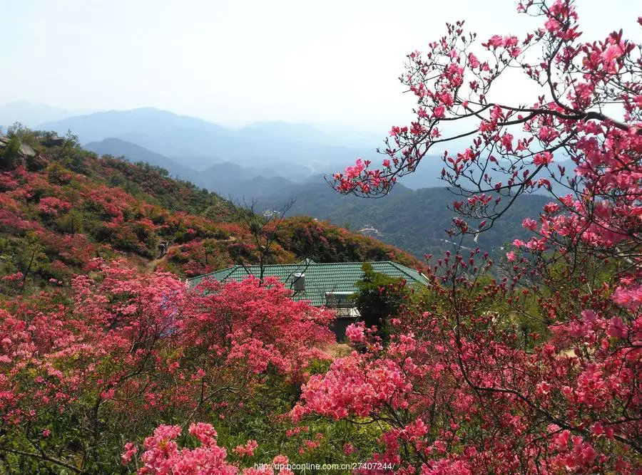 张家祥老师诗歌《鹤岗，我美丽的家》主播：瑞雪丰年 编辑：小鱼儿 【北疆头条】（第217期）（图11）