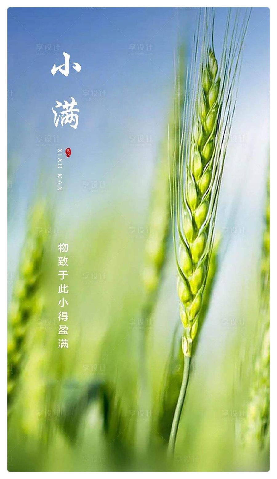 八声甘州•小满谣ll作者:白润岱ll诵读:费军(图3)