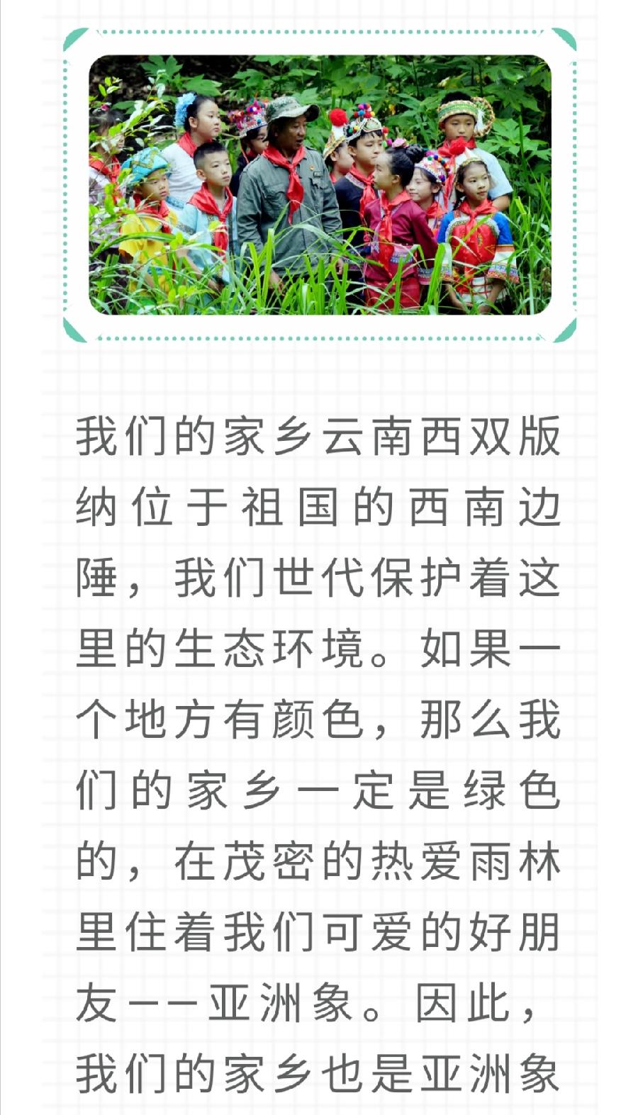 【允美教育】我校少先队员代表参加西双版纳州“六·一”网上主题队课视频《“象”往的地方》（图4）