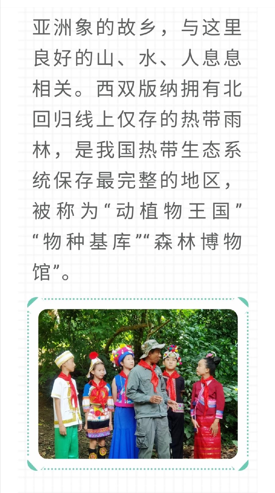 【允美教育】我校少先队员代表参加西双版纳州“六·一”网上主题队课视频《“象”往的地方》（图6）