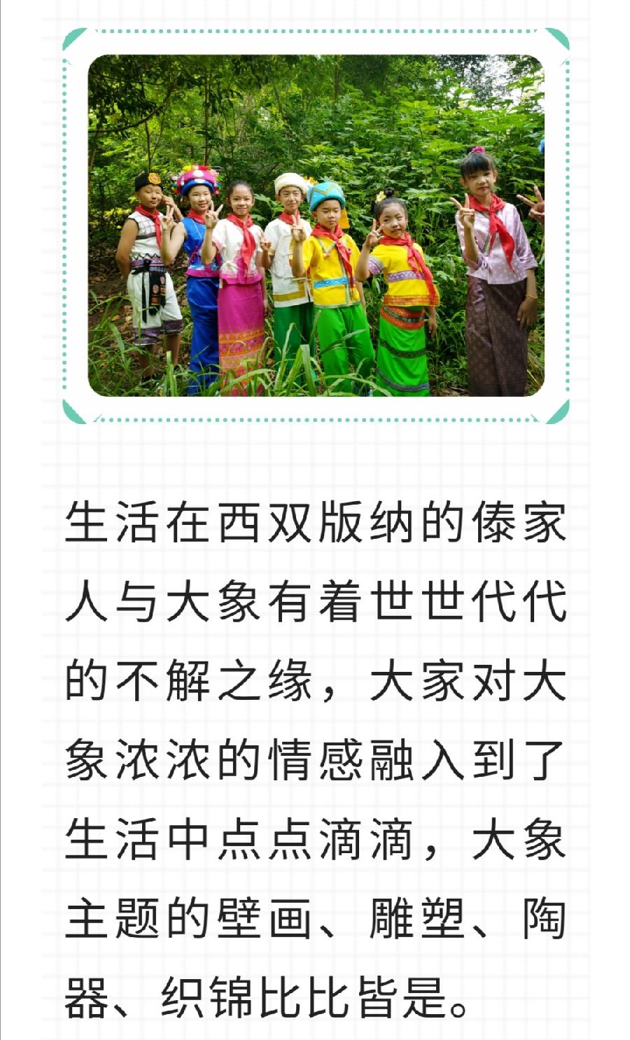 【允美教育】我校少先队员代表参加西双版纳州“六·一”网上主题队课视频《“象”往的地方》（图7）