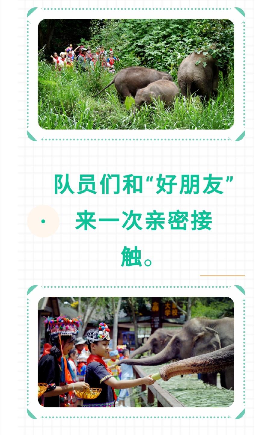 【允美教育】我校少先队员代表参加西双版纳州“六·一”网上主题队课视频《“象”往的地方》（图8）