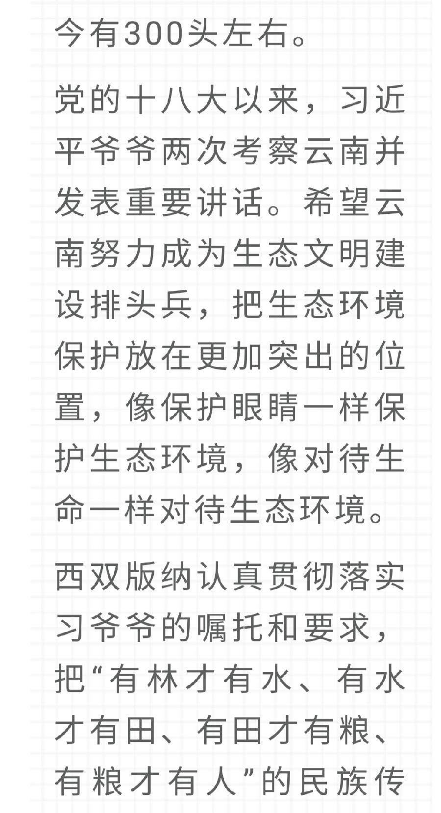 【允美教育】我校少先队员代表参加西双版纳州“六·一”网上主题队课视频《“象”往的地方》（图10）