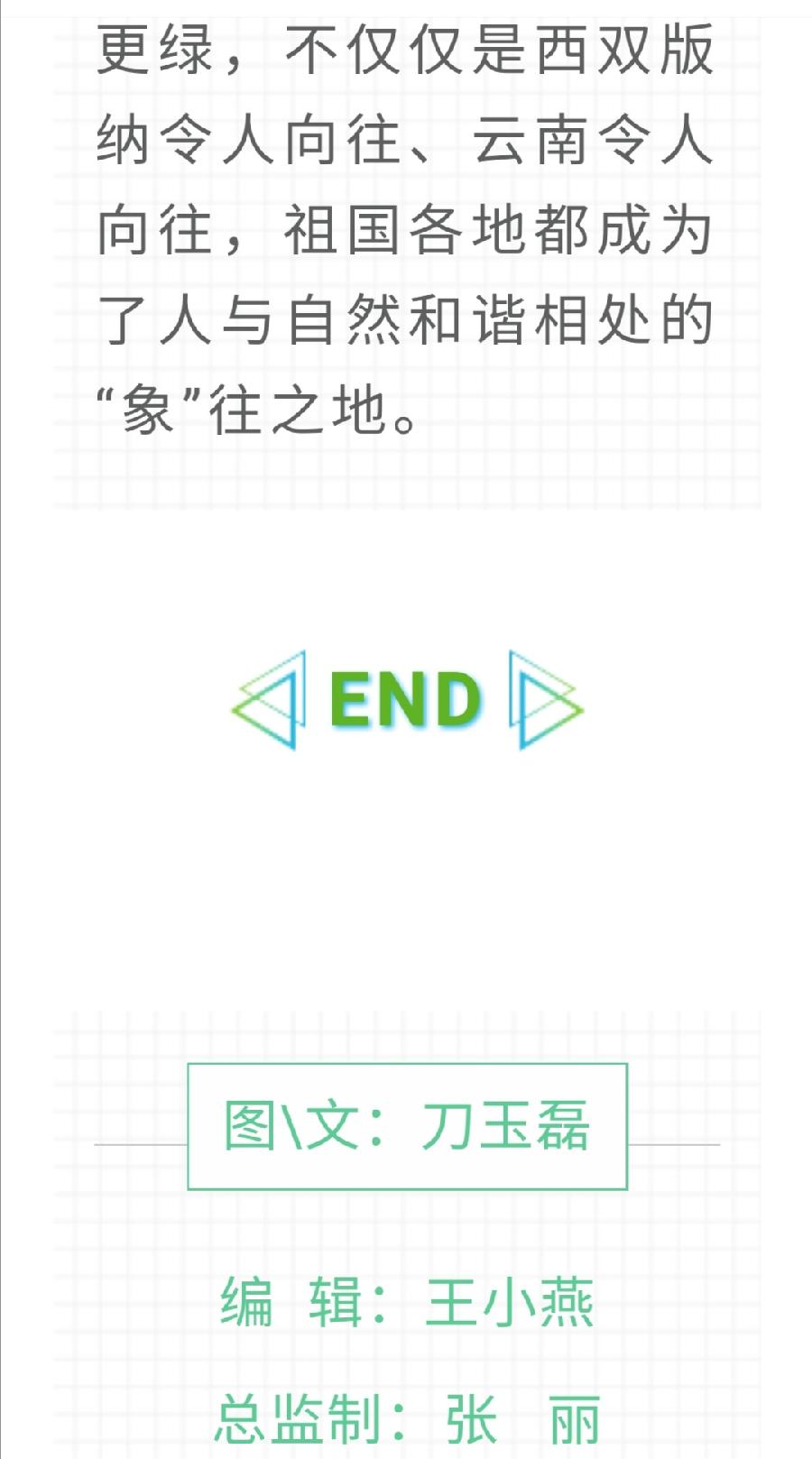 【允美教育】我校少先队员代表参加西双版纳州“六·一”网上主题队课视频《“象”往的地方》（图14）