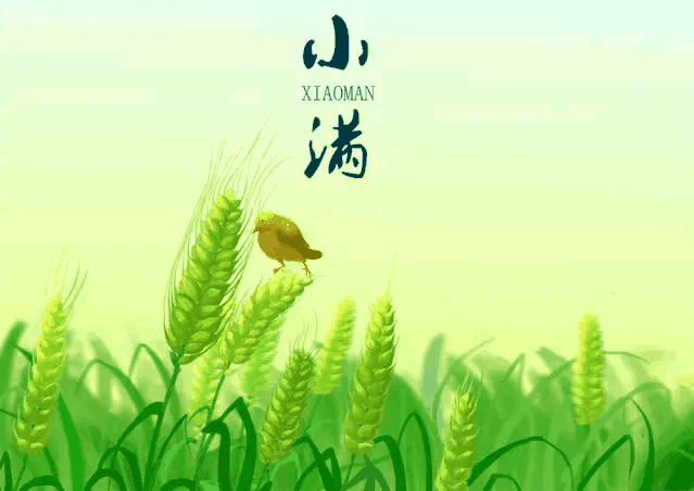 【神都诗社】第14期《小满》(图7)