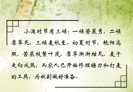 【神都诗社】第14期《小满》(图25)