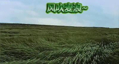 【神都诗社】第14期《小满》(图26)