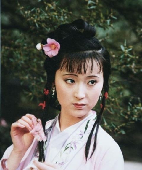 《诗话红楼梦》一至十九 作者 李琼秀（湖南）【冰心文化传媒】（图11）