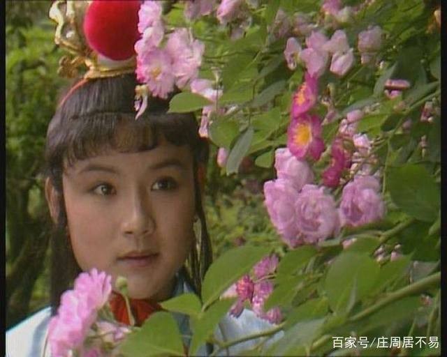 《诗话红楼梦》一至十九 作者 李琼秀（湖南）【冰心文化传媒】（图21）