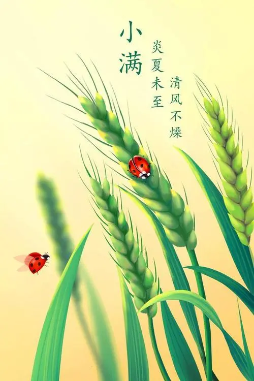 小 满‖文图/赵京江，书法/太行山人武功（图2）