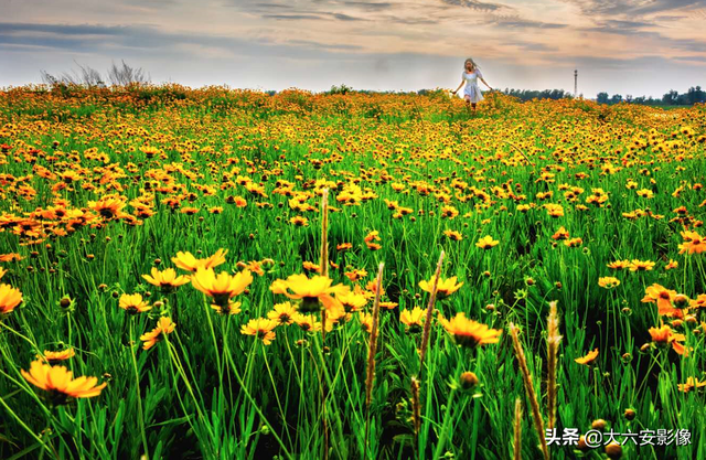 《花朝清韵》第三十六期《五月风彩》（图4）