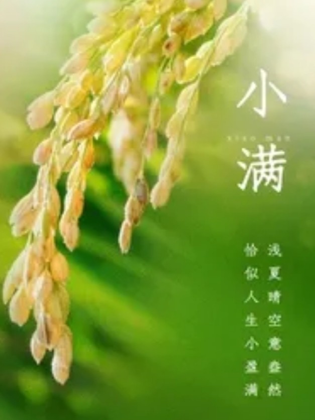 【九江文学社：北京头条】《小满》专刊（图2）