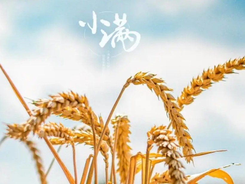 【九江文学社：北京头条】《小满》专刊（图13）
