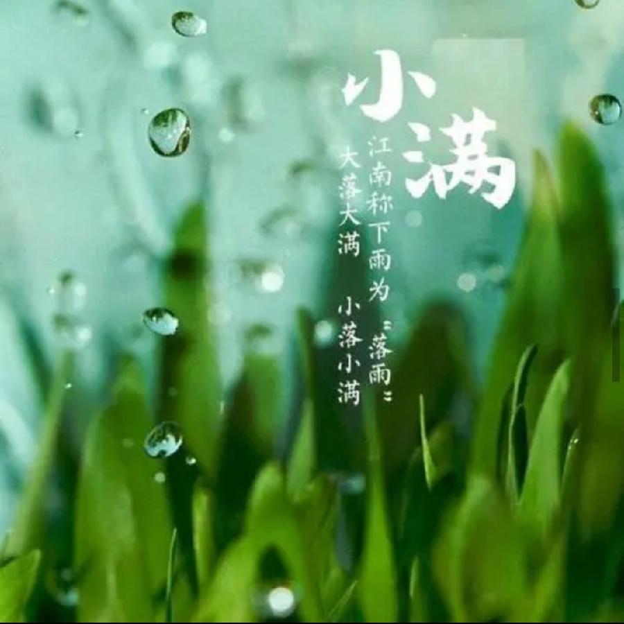 【九江文学社：北京头条】《小满》专刊（图5）
