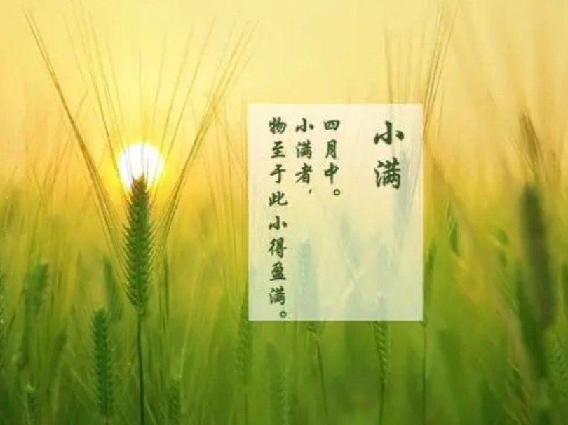 【九江文学社：北京头条】《小满》专刊（图11）