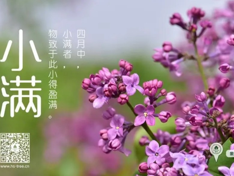 【九江文学社：北京头条】《小满》专刊（图18）