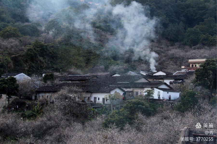 那年那月那事（组诗）文/田源（安徽）【冰心文化传媒】（图4）