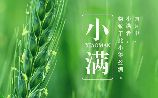 【经典推荐】嵩嵩//小满感怀｛欣赏｝（图5）
