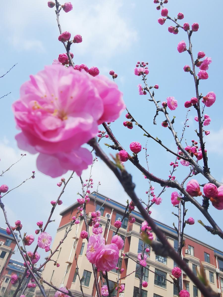 胸怀•寿命 文/苏州漫（图2）