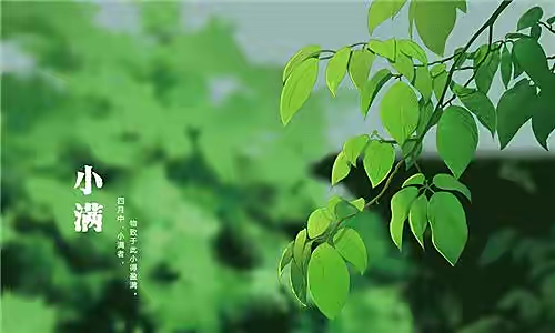 【新诗大观】写给小满||文/姜振国（图2）