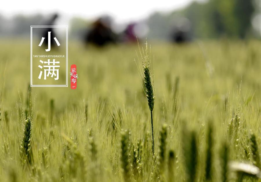 【新诗大观】小满||文/宋茂林