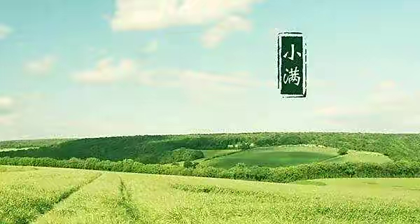 【新诗大观】小满||文/宋茂林（图2）