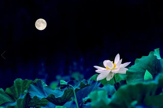 李席林:爱情吹出的泡泡都是爱(组诗)请欣赏(图3)