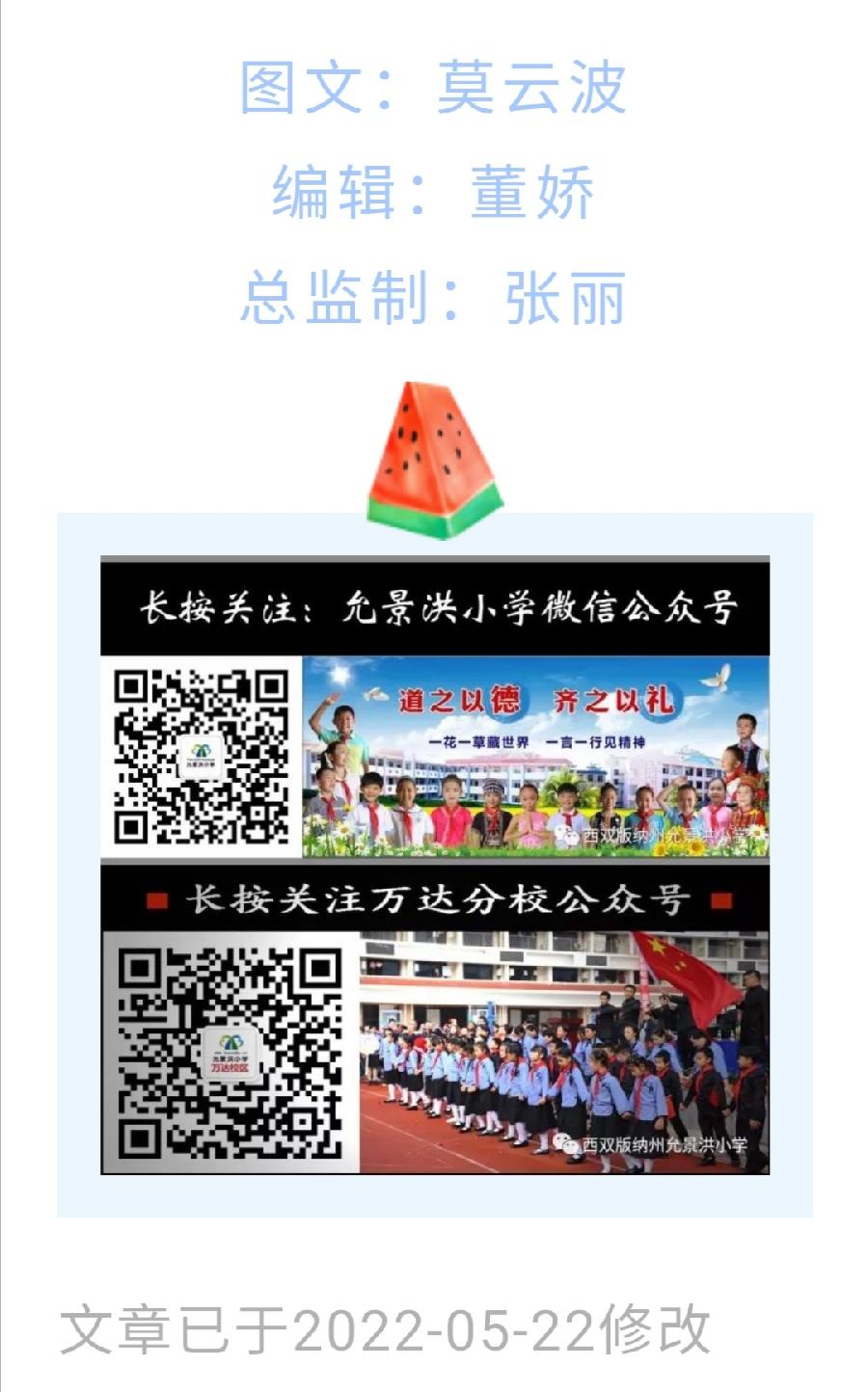 【允美教育】允景洪小学2022年本部专科教师达标课（图24）